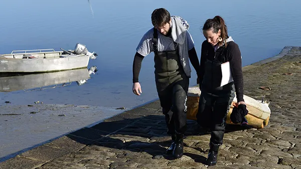 Huîtres au chantier - Aux Filles des Marées - Ostréiculteur Morbihan