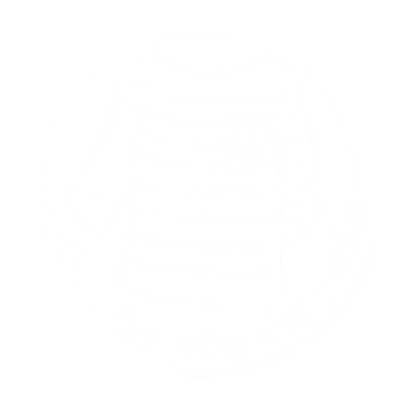 Aux Filles des Marées - Logo Blanc sur fond Transparent - Ostréicultrices à Sarzeau - Golfe du Morbihan - Bretagne