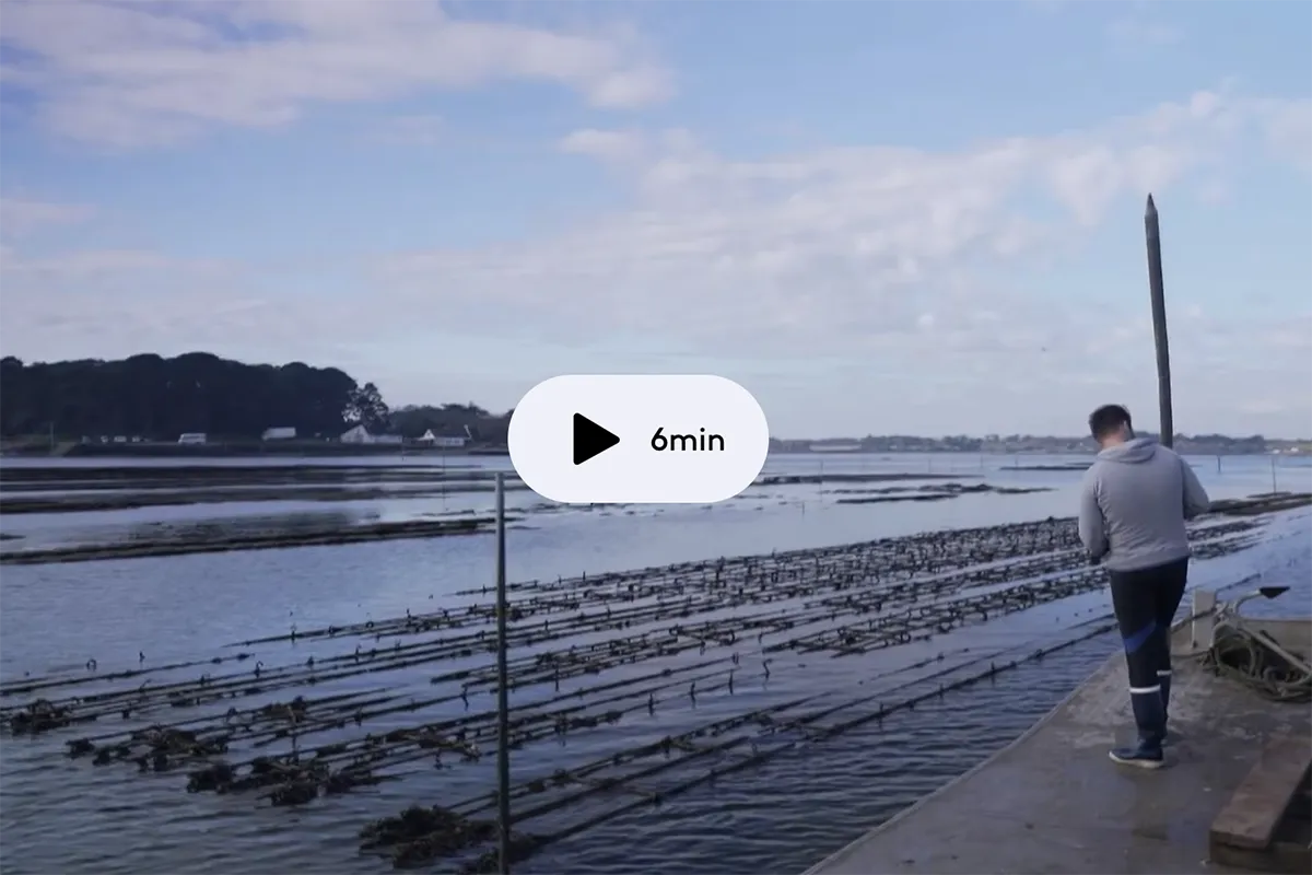 Aux Filles des Marées - Reportage vidéo France 2 - Ostréiculteur Golfe du Morbihan - Bretagne