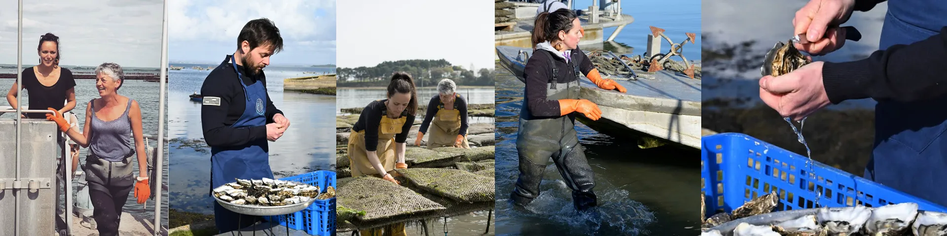 Aux Filles des Marées - Fond accueil - Ostréiculteur Golfe du Morbihan - Bretagne
