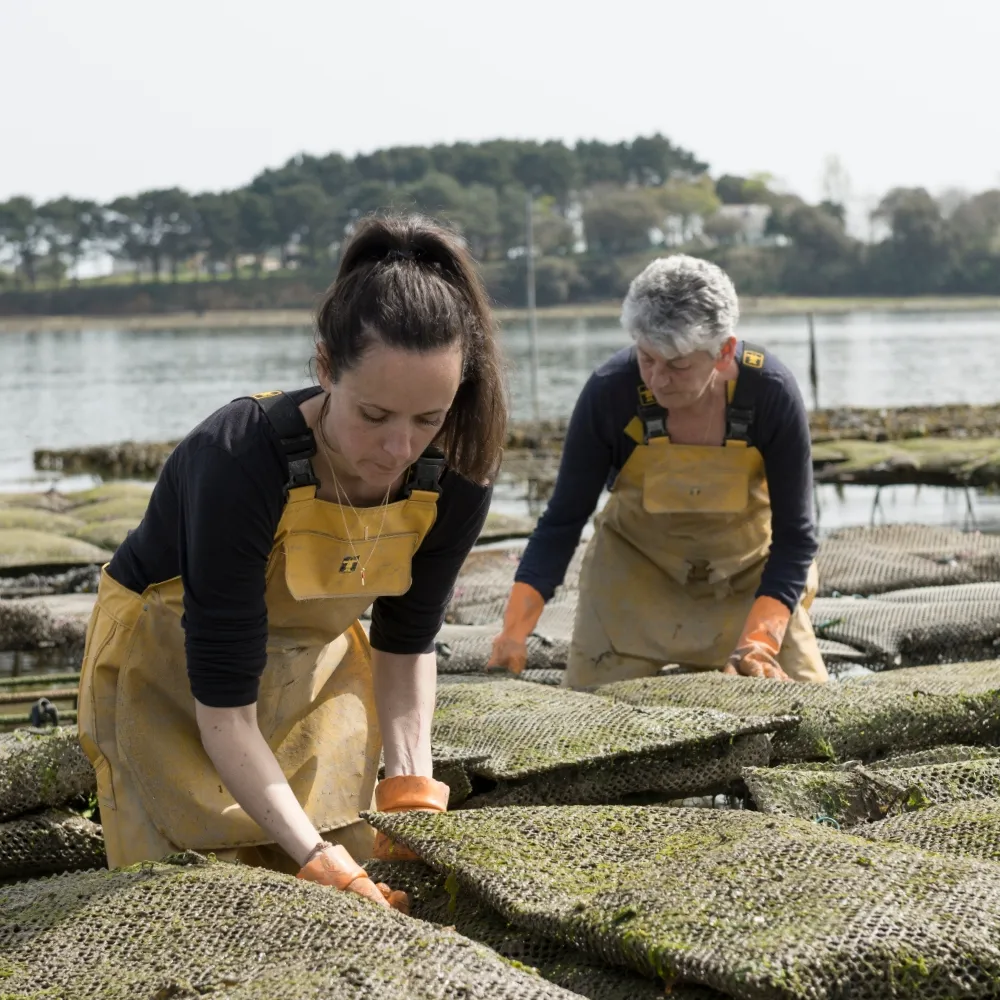 Aux Filles des Marées - Marine et Nathalie - Ostréiculteur Morbihan - Sarzeau - Bretagne